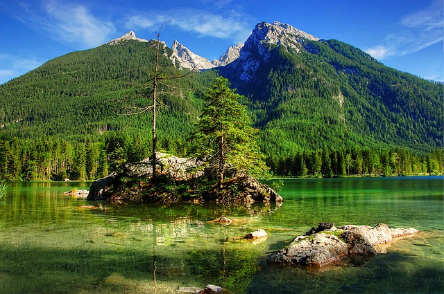 术水平已经